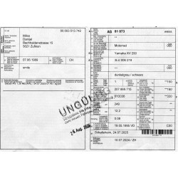 YAMAHA XV 250 Virago Umbau Bobber